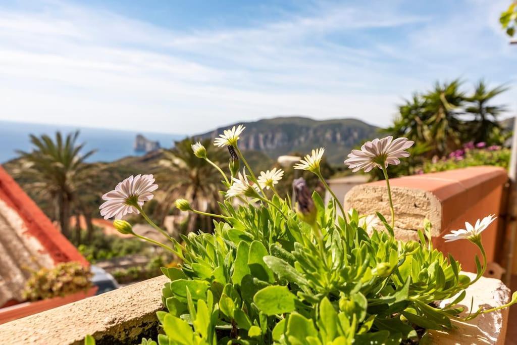 Vista Sul Pan Di Zucchero - Nebida - Holiday House Dış mekan fotoğraf